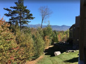 There's access to private decks with breathtaking Mt. Washington views and backyard space with a fire pit for cozy evenings under the stars