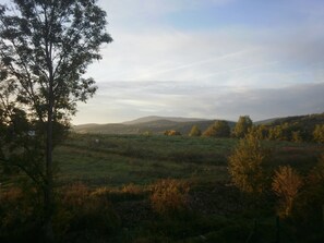 Blick auf den Urwald Boubin/Kubany