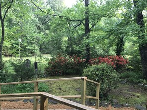Secluded back yard