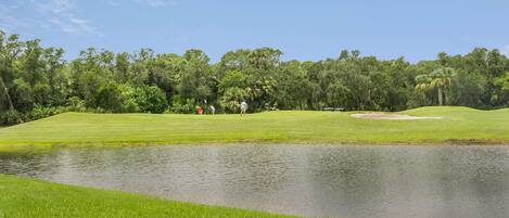 View of the golf course.