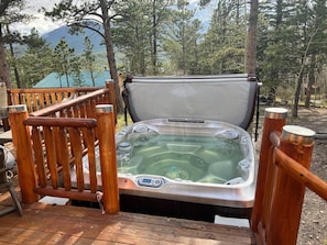 High-end Jacuzzi 6-person hot tub new this year  Great therapy jets, lights.