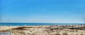 Chair and umbrella rentals on the beach