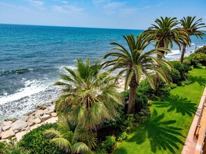 Tree, Vegetation, Palm Tree, Tropics, Arecales, Plant, Coast, Azure, Vacation, Woody Plant