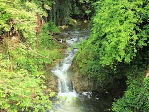 Water Resources, Body Of Water, Natural Landscape, Vegetation, Nature, Nature Reserve, Watercourse, Riparian Zone, Stream, Water
