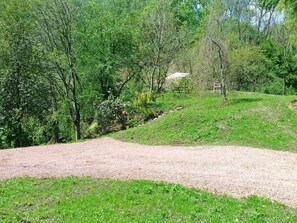 Tree, Green, Grass, Natural Landscape, Natural Environment, Soil, Land Lot, Trail, Nature Reserve, Grass Family