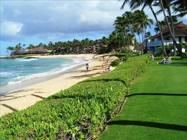 Strand