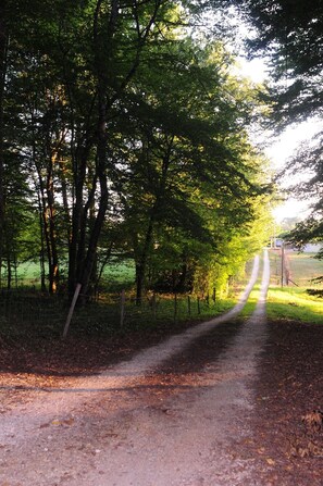Boendeområde