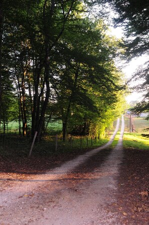 Parco della struttura