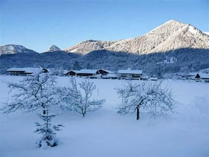 Övrigt
