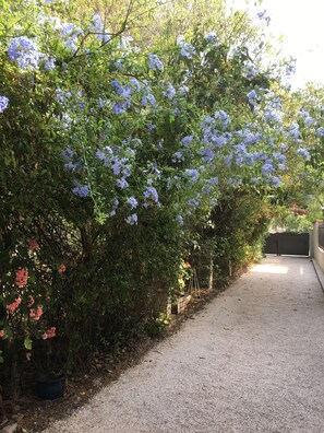 Jardines del alojamiento