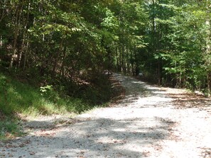 Driveway to WoodHaven