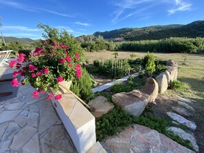 garden view from terrace.