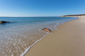 Playa