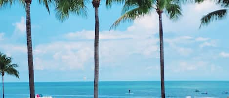 Welcome to the Resort! This is our Private  Beach at Keys Cove Resort in Marathon, FL- its just a very short walk from House #! -You get your own dock slip for your own private boat-free kayaks, tiki hut party usage, etc.