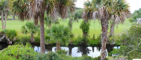 Watch the golfers as they land their tee shots in the fairway.