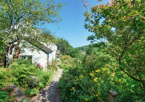 This delightful semi-detached character cottage is set within a canopy of ancient trees with an abundance of ferns and wild flowers