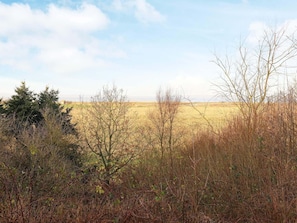 Vista dell'acqua