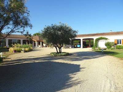 Vue d'ensemble de Provence-détente avec l'olivier au centre de la cour