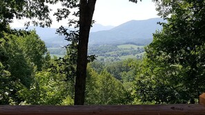 TRV-View (1)