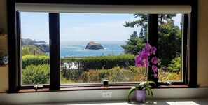 View from Kitchen