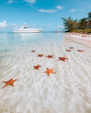 STARFISH POINT. You can do a Stingray City + Starfish Point combo tour.