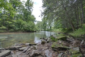 Upriver View