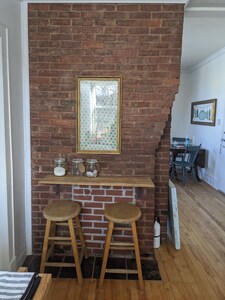 Downtown Executive w Fireplace & Location