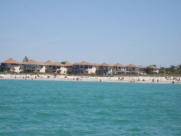 Castaways from the Gulf!