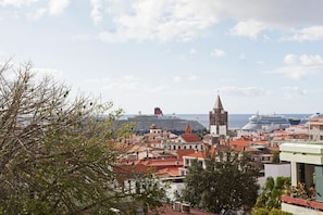 Vue de la fenĂȘtre