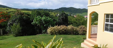 Garden view