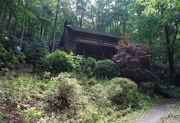 Main Image