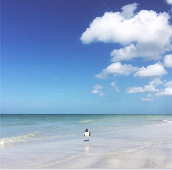 Pristine white sandy beach