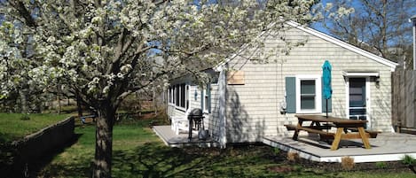 Welcome to your vacation! Two decks and a gas grill to get you started