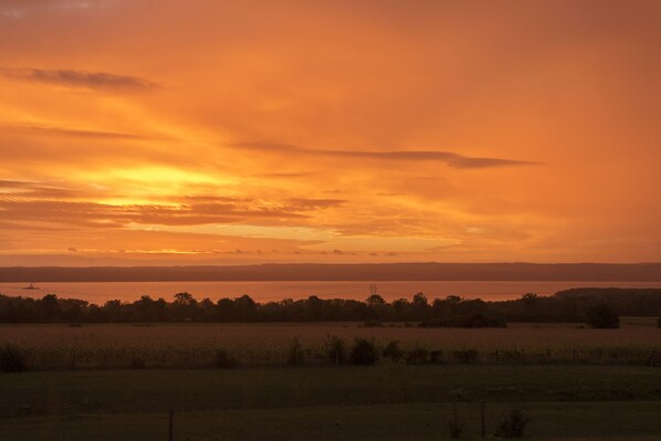 Oklassificerad bild, 1 av 35, knapp
