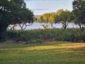 Back yard overlooking Curley's Bay (the river)