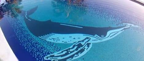 Pool features humpback whale pushing her newborn to the surface for 1st breath.