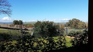Fully Fenced Yard