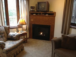 Lower-level living room with forest view over deck and fireplace