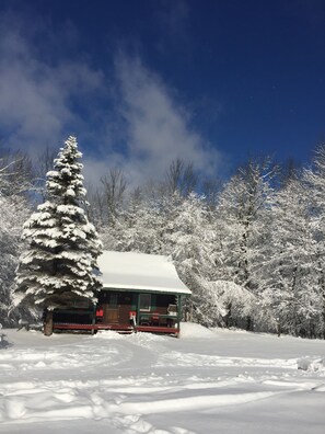 Winter at Windy Pond Cottage