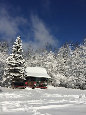 Winter at Windy Pond Cottage