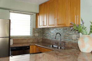 Newly remodeled kitchen