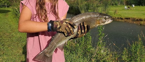 A nice catch from our on-site trout pond. Catch some native browns in the creek.