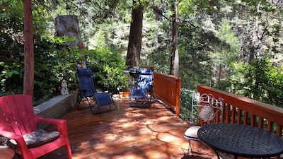 Mountain Cottage Surrounded by Forests ~ Beverly Hills of the Mountains!