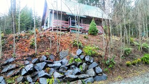 View of cabin from Driveway 
