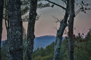 Enjoy the views and peacefulness of the North Georgia mountains.
