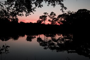 Oklassificerad bild, 4 av 45, knapp