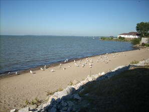 Plage