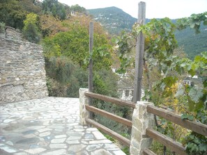 view from the house's veranda towards East