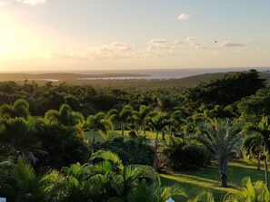 Morning view from upper level. 