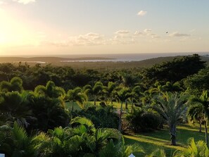 Morning view from upper level. 